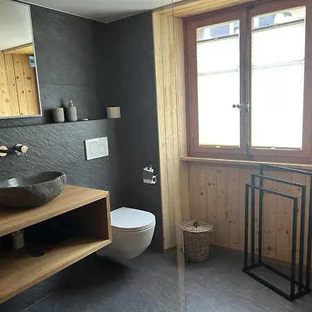 Haus Alpengruss Eg By Interhome 公寓 萨斯费